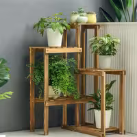 استند چوبی گل سایز متوسط کد 351