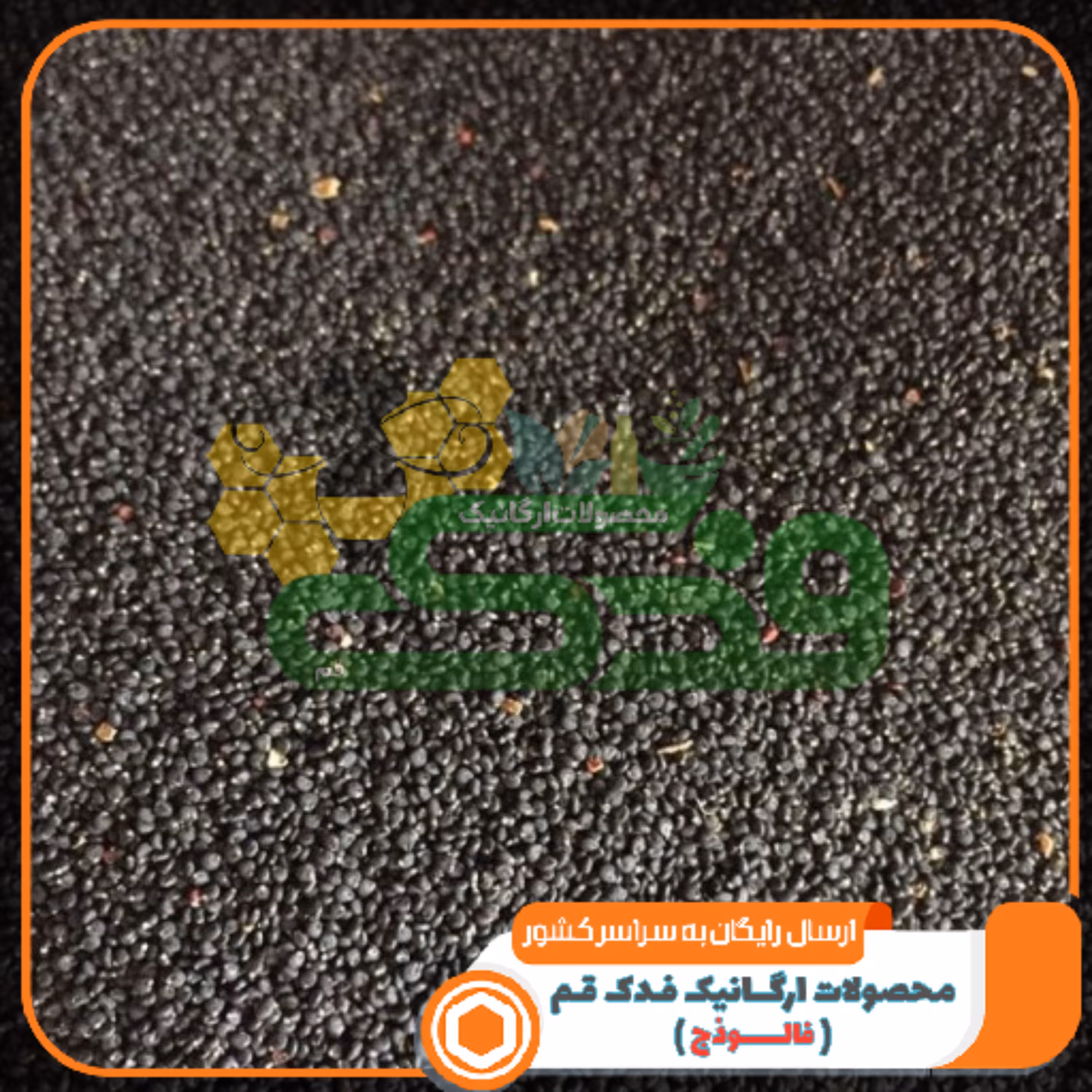 تخم خرفه ممتاز فدک150گرم (سورت شده)