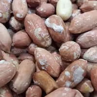 بادام زمینی آستانه 250 گرمی