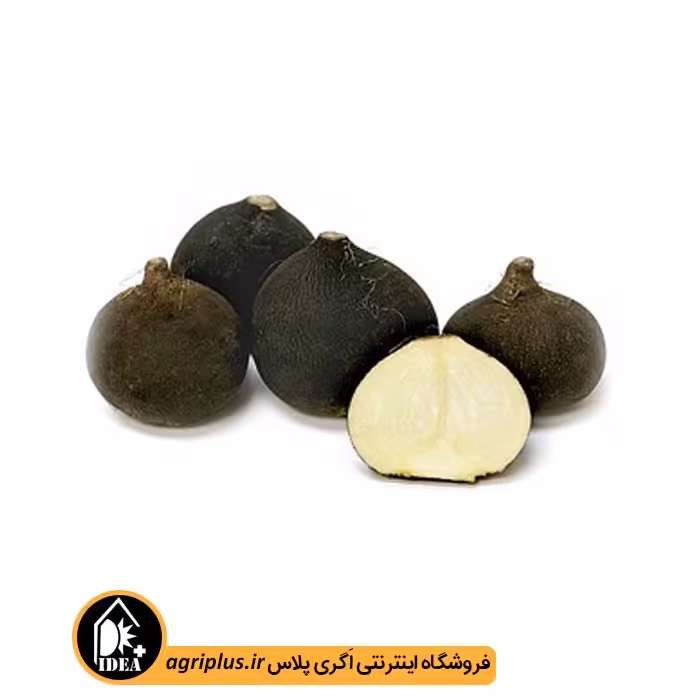 بذر ترب سیاه بسته بندی خانگی
