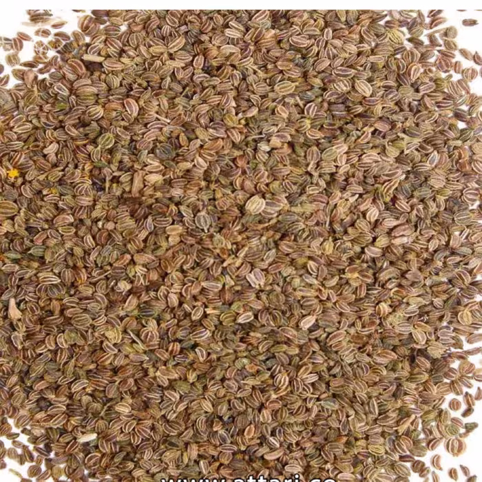 بذر کرفس(100 گرم)