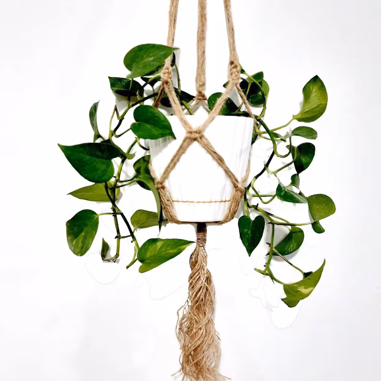 آویز گلدان کنفی