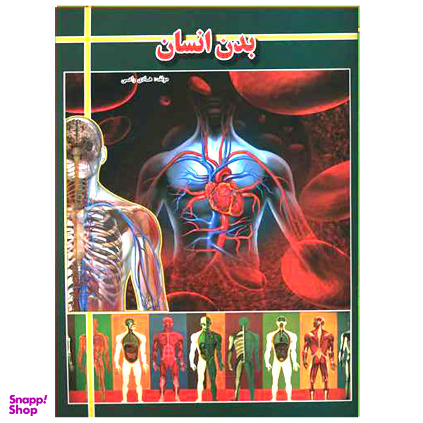بدن انسان (رحلی)