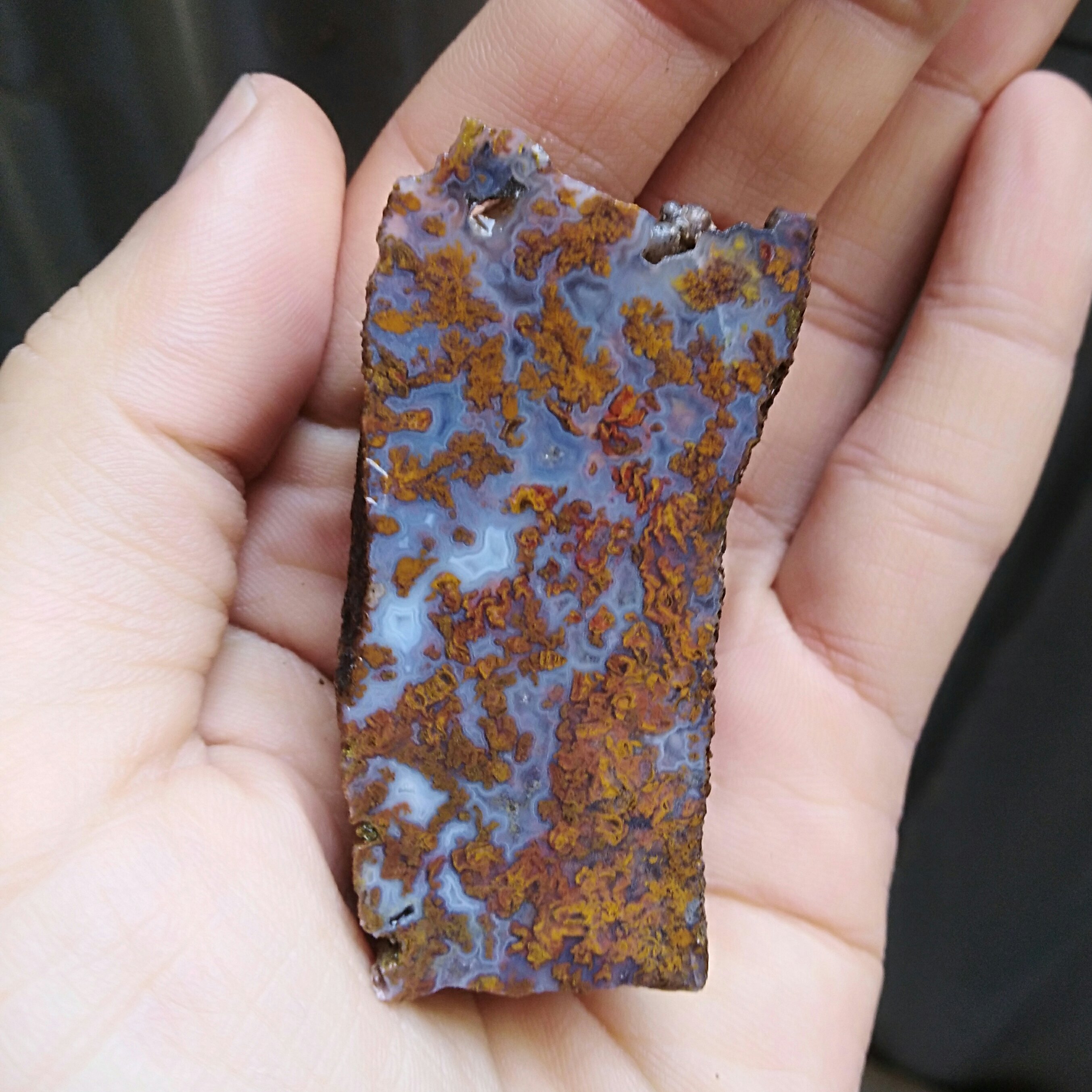 اسلایس  سنگ راف شجر پاییزی محشر دیدددنی کاملا طبیعی