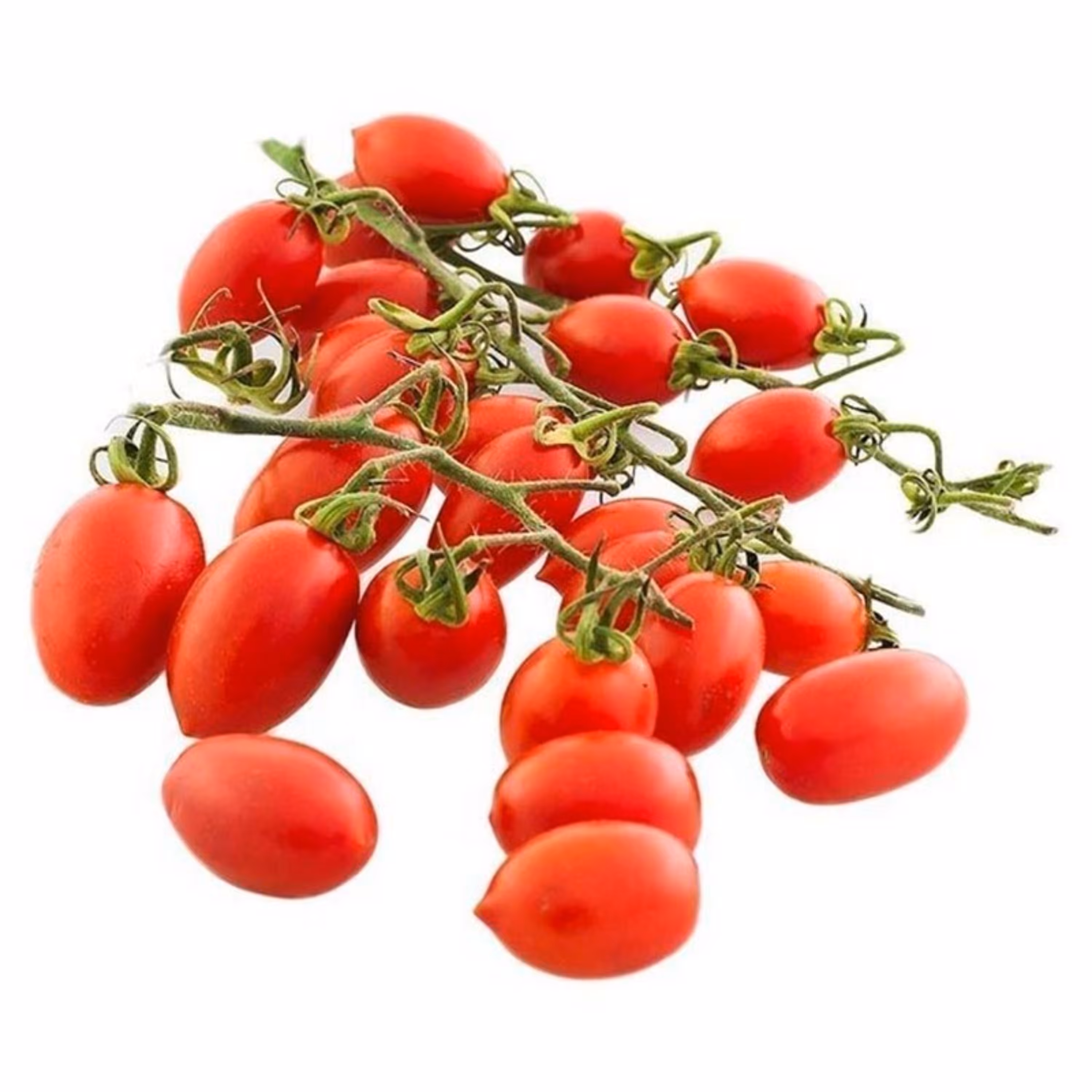 بذر گوجه فرنگی فیاسکتو زیتونی خوشه ای ایتالیایی بسته 50 عددی