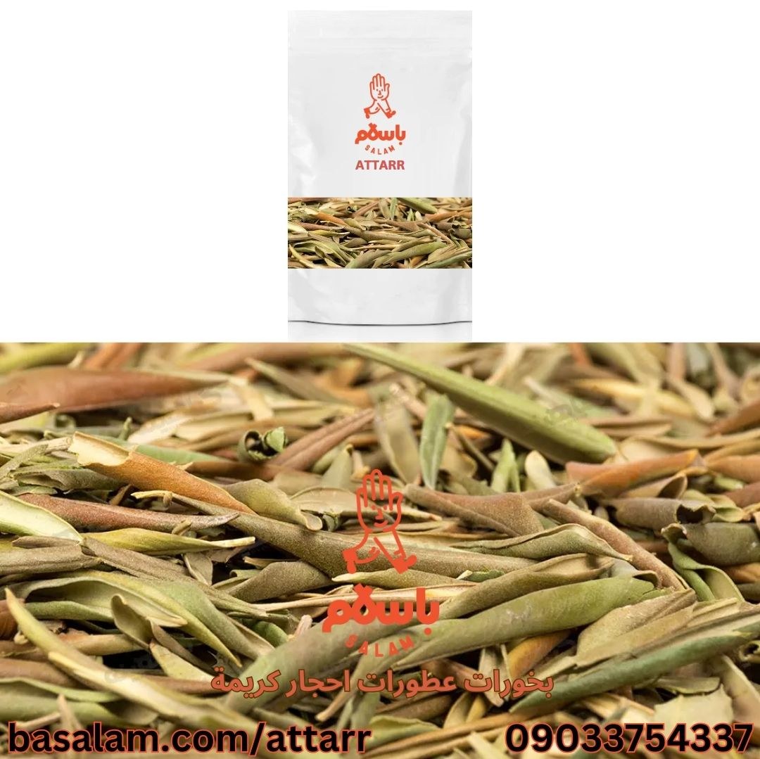 اوراق زیتون olive leaves برگ زیتون (1000گرم)