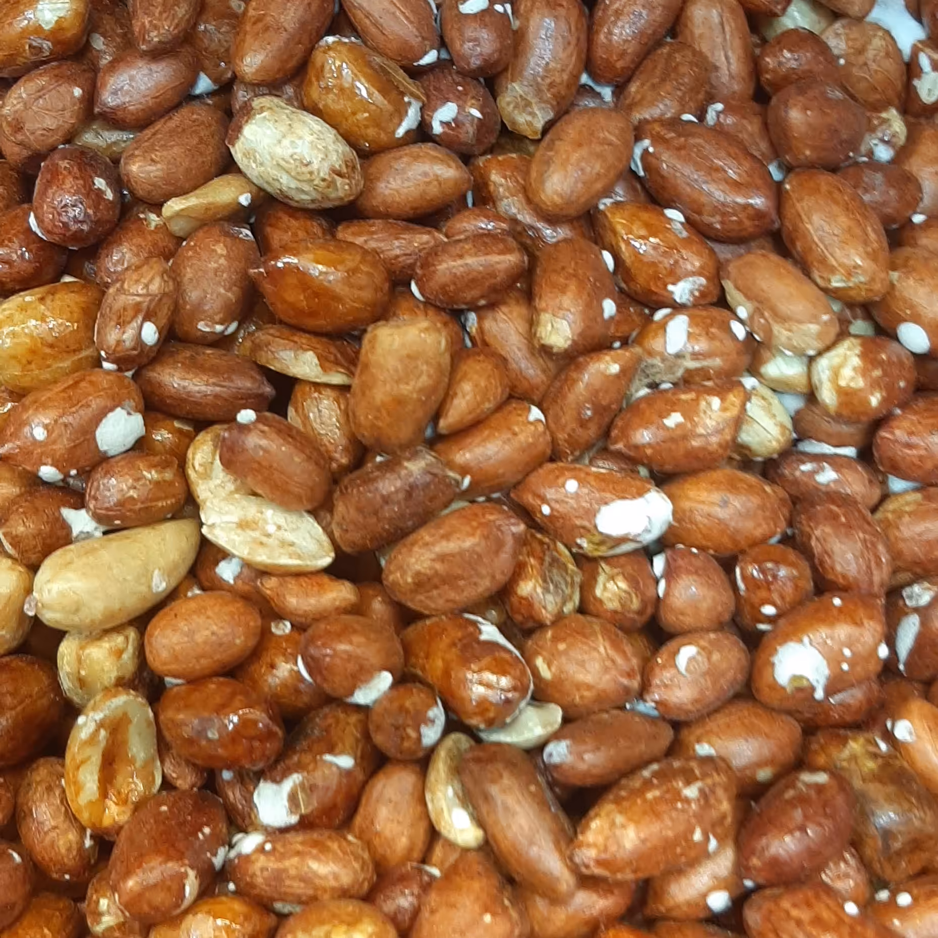 مغز بادام زمینی لعابی تازه و کیفیت عالی آجیل و خشکبار بادامک 