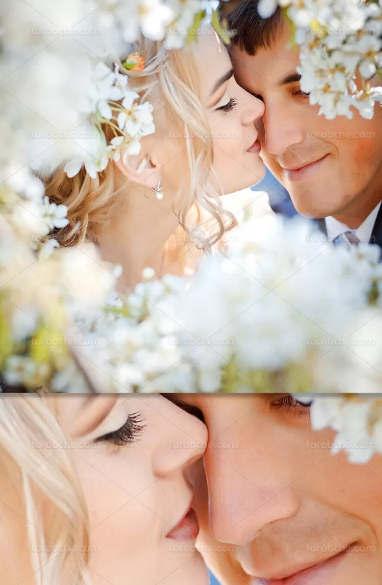 عکس عروس و داماد | گرافیک با طعم تربچه