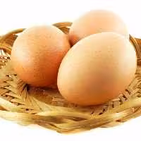 تخم مرغ