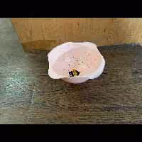 سطل اشغال سینگ