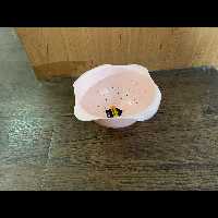 سطل اشغال سینگ