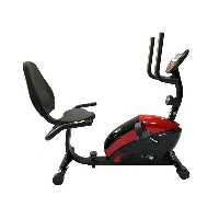 دوچرخه ثابت پاندا B352R