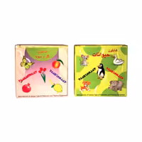 شابلون نقاشی دانشمند مدل حیوانات و گل و میوه بسته 2 عددی