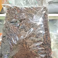 چایی با ساقه ( 500 گرمی ) ماسو 