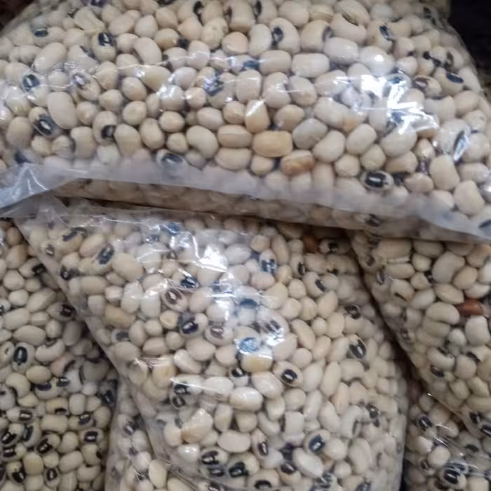 لوبیا چشم بلبلی درشت درجه یک 600گرمی