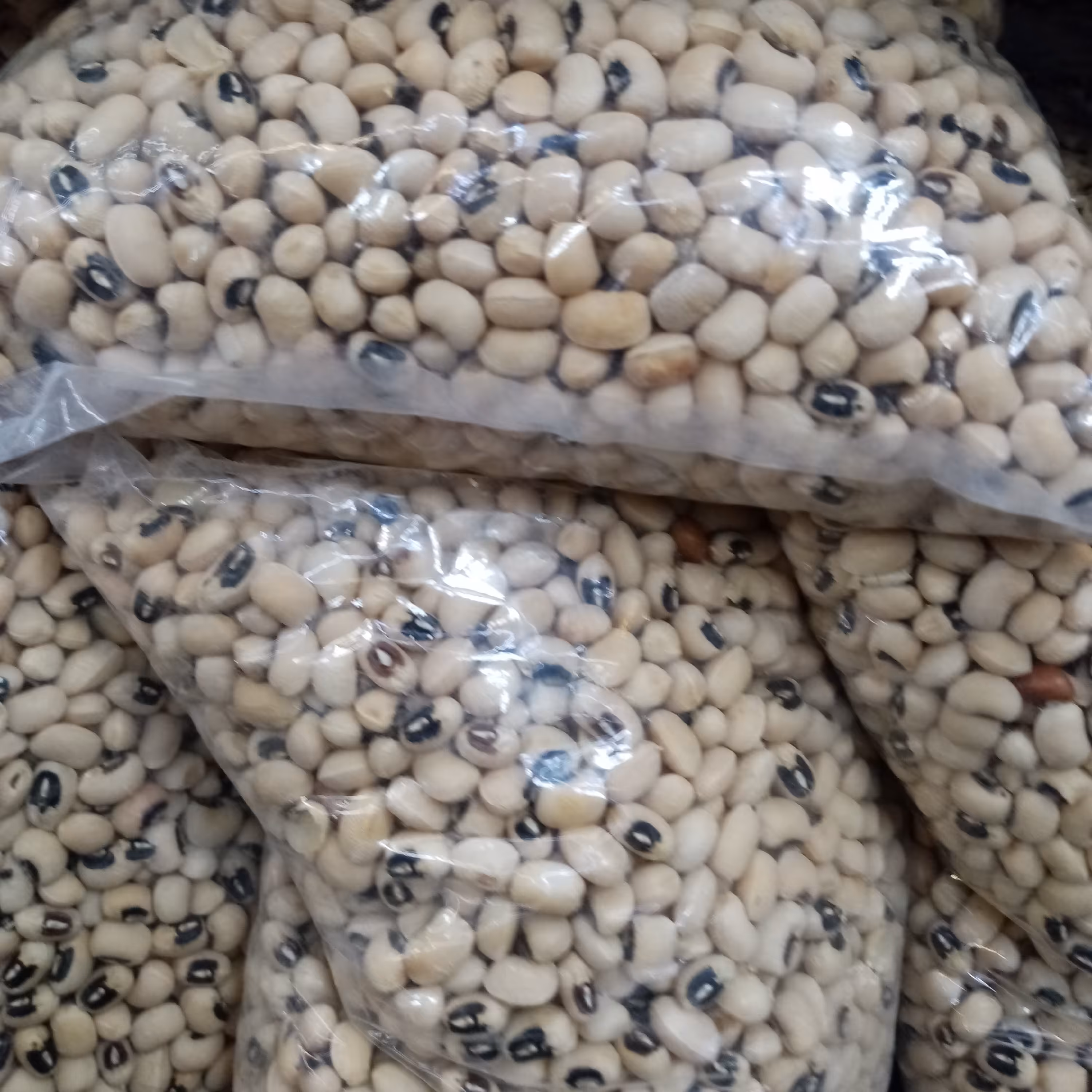 لوبیا چشم بلبلی درشت درجه یک 600گرمی