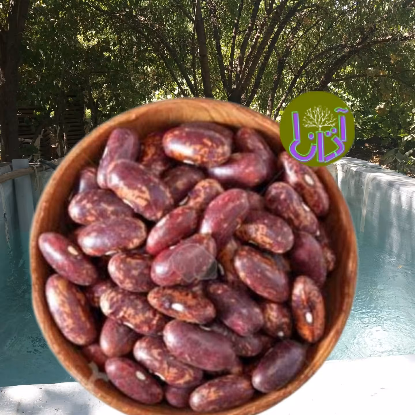 لوبیا قرمز  یک کیلوگرمی