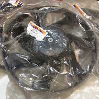 پروانه فن زانتیا