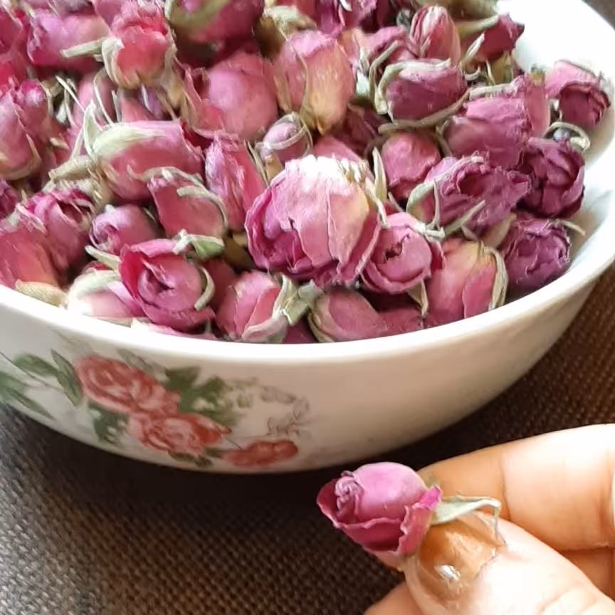 غنچه گل محمدی