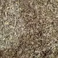 آویشن شیرازی 250 گرم به حال خود بدون خاک عطر فوقق العاده