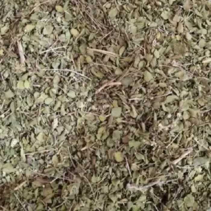 آویشن شیرازی 250 گرم به حال خود بدون خاک عطر فوقق العاده