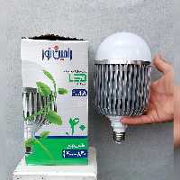لامپ رشد گیاه 40 وات رامین نور مدل RNGL40W پایه E27