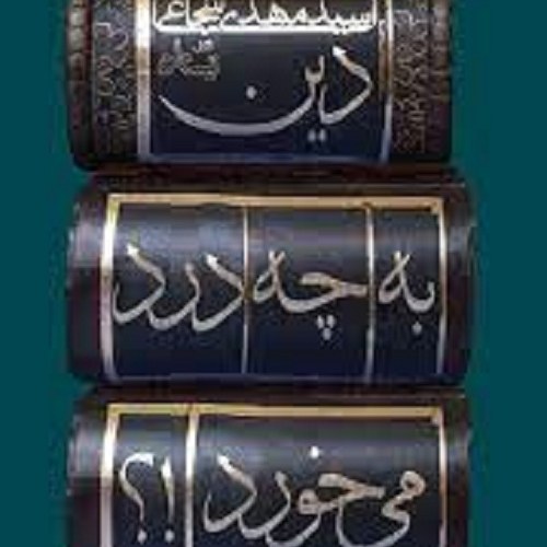 کتاب دین به چه درد می خورد - سید مهدی شجاعی