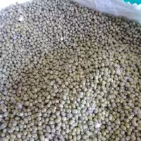 ماش درجه یک خوش پخت و خوش طعم ( یک کیلو گرم ) 