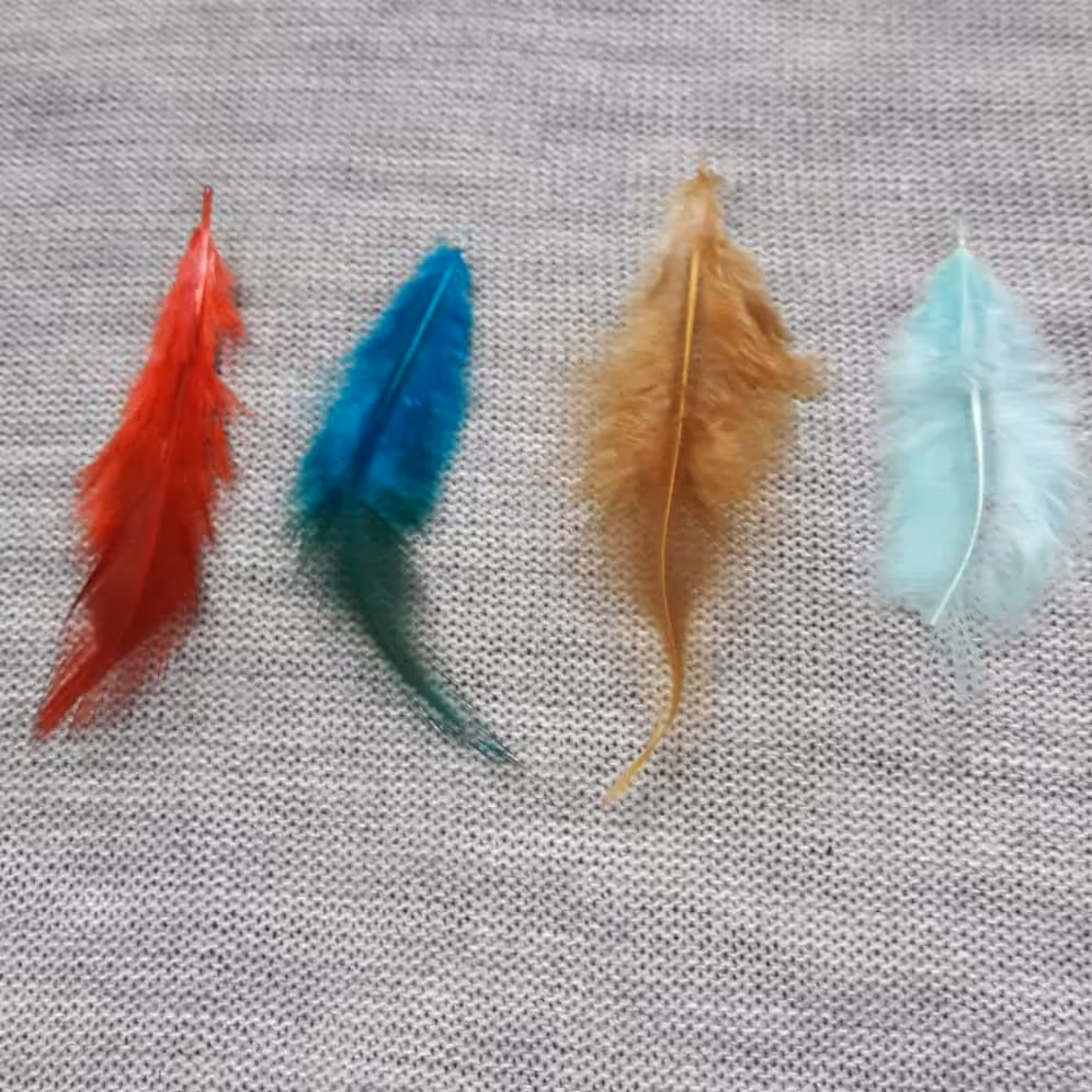 پک پر دریم کچر5عددی