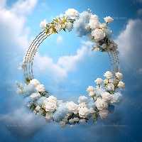 بک دراپ عکاسی عروس و داماد با حلقه گل سفید آبی | گرافیک با طعم تربچه