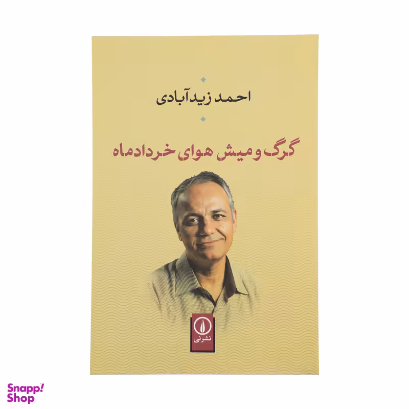 کتاب گرگ و میش هوای خرداد ماه اثر احمد زیدآبادی نشر نی