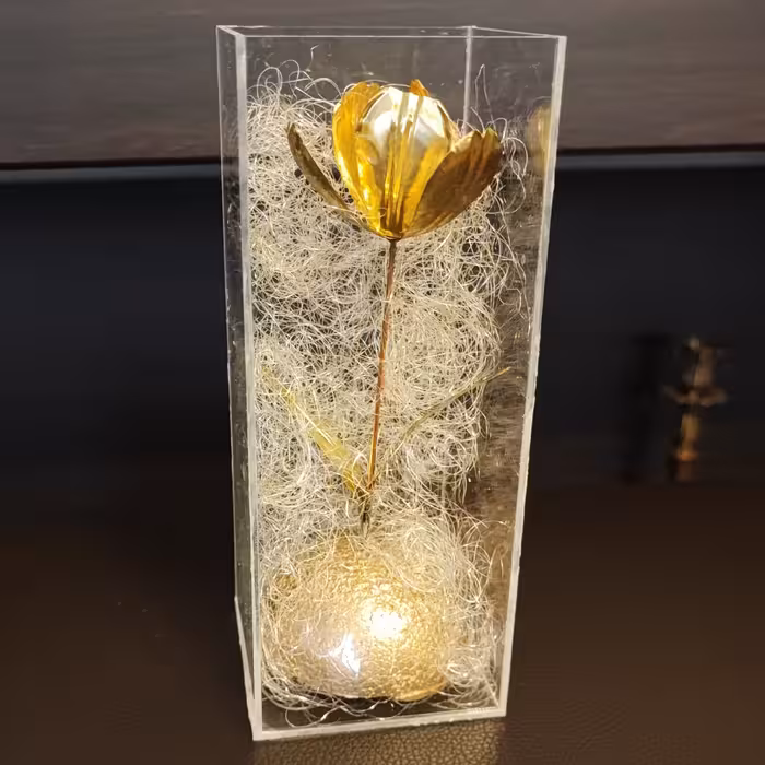 باکس دکوراتیو  لاله طلایی مناسب هدیه روز مادر