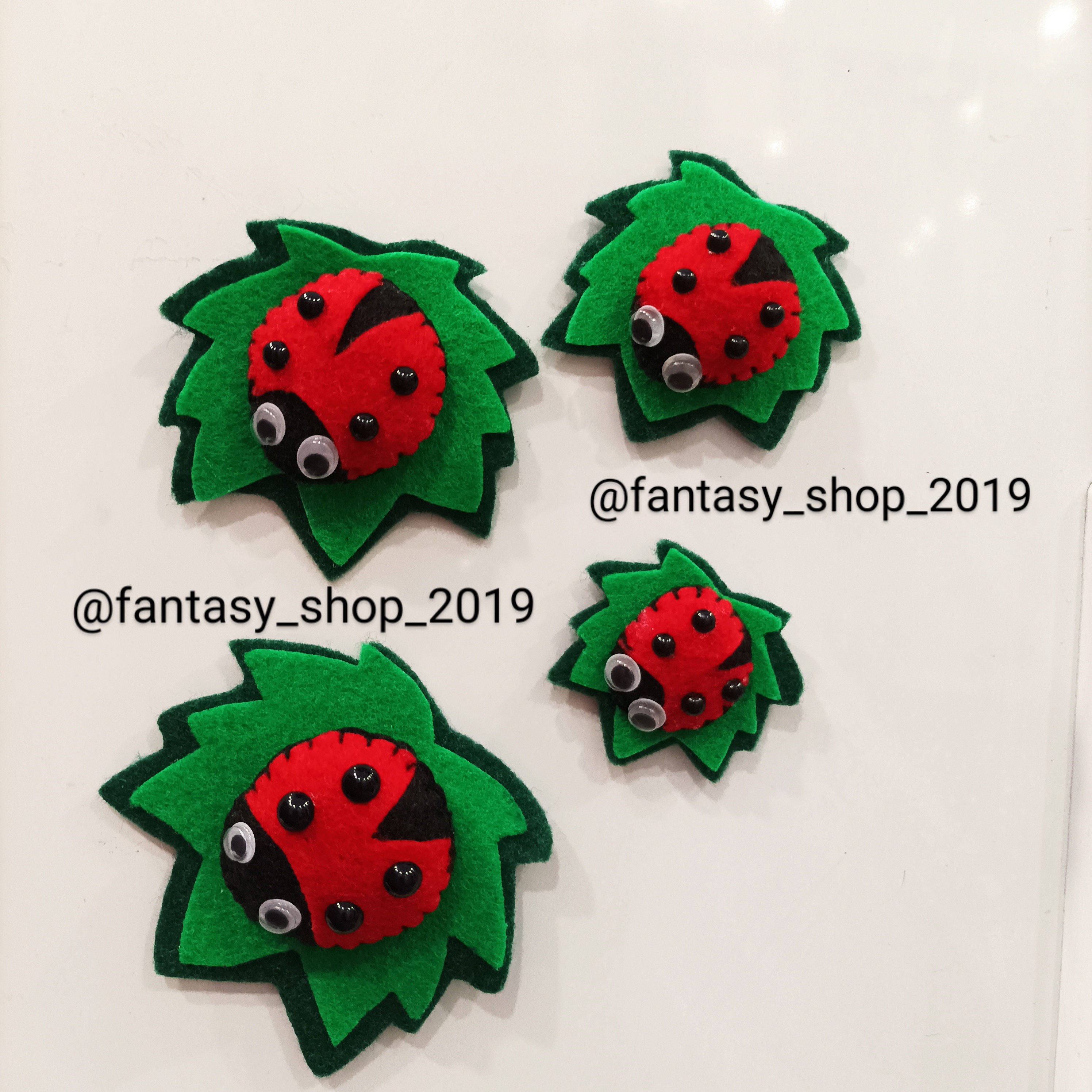 مگنت یخچال کفشدوزک دو عددی