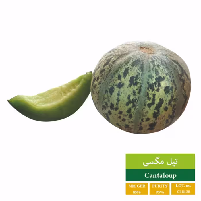 بذرتیل سبز بذر طلایی رویان 