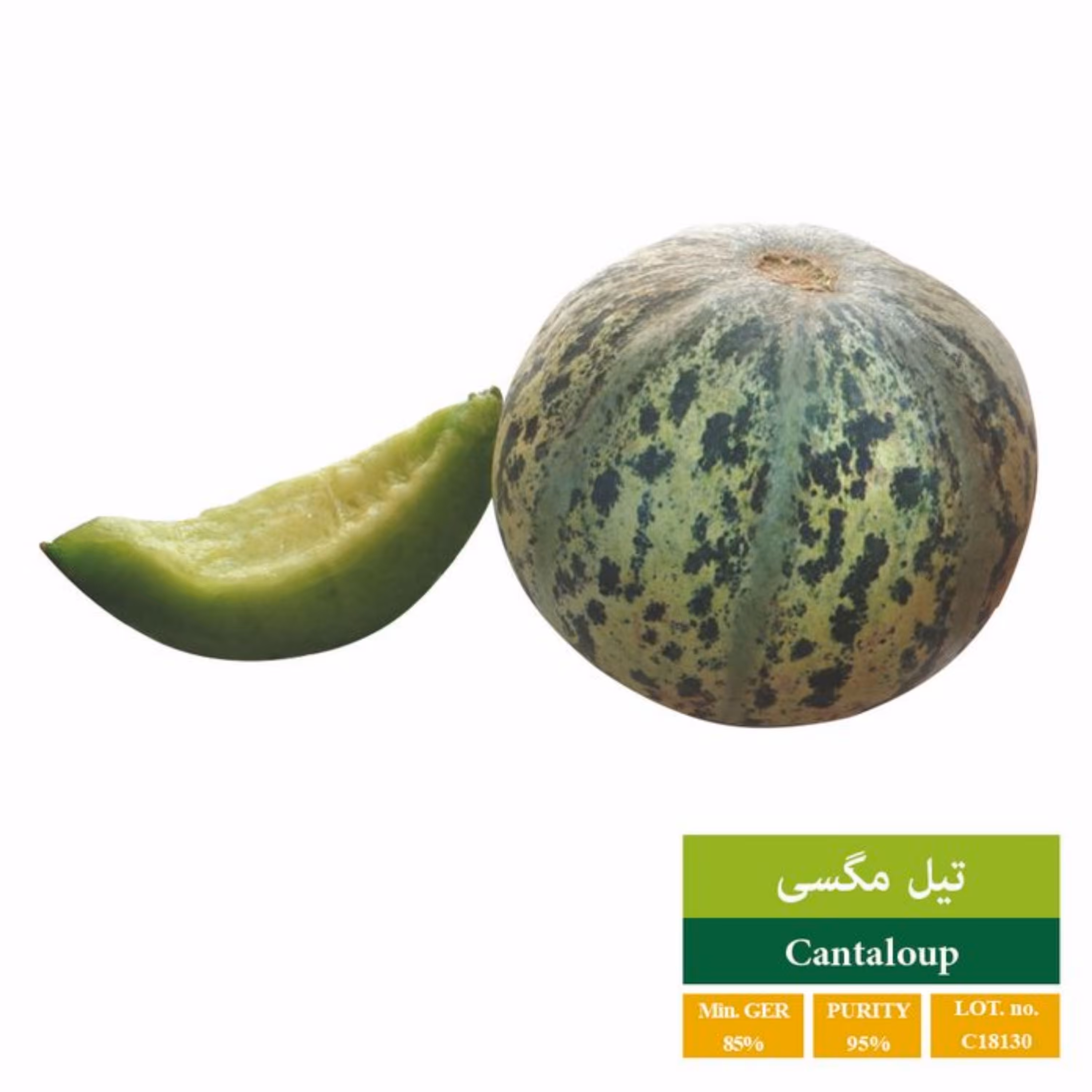 بذرتیل سبز بذر طلایی رویان 