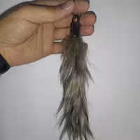 آویز دم روباه کوتاه 15 سانتی در رنگ بندی جور با ظاهری زیبا