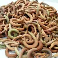 ناخنک یک کیلو