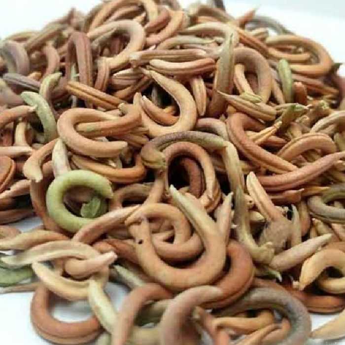 ناخنک یک کیلو