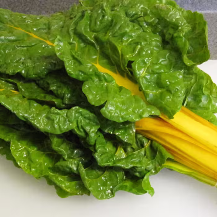 بذر سوییس چارد زرد قناری 30 عددی