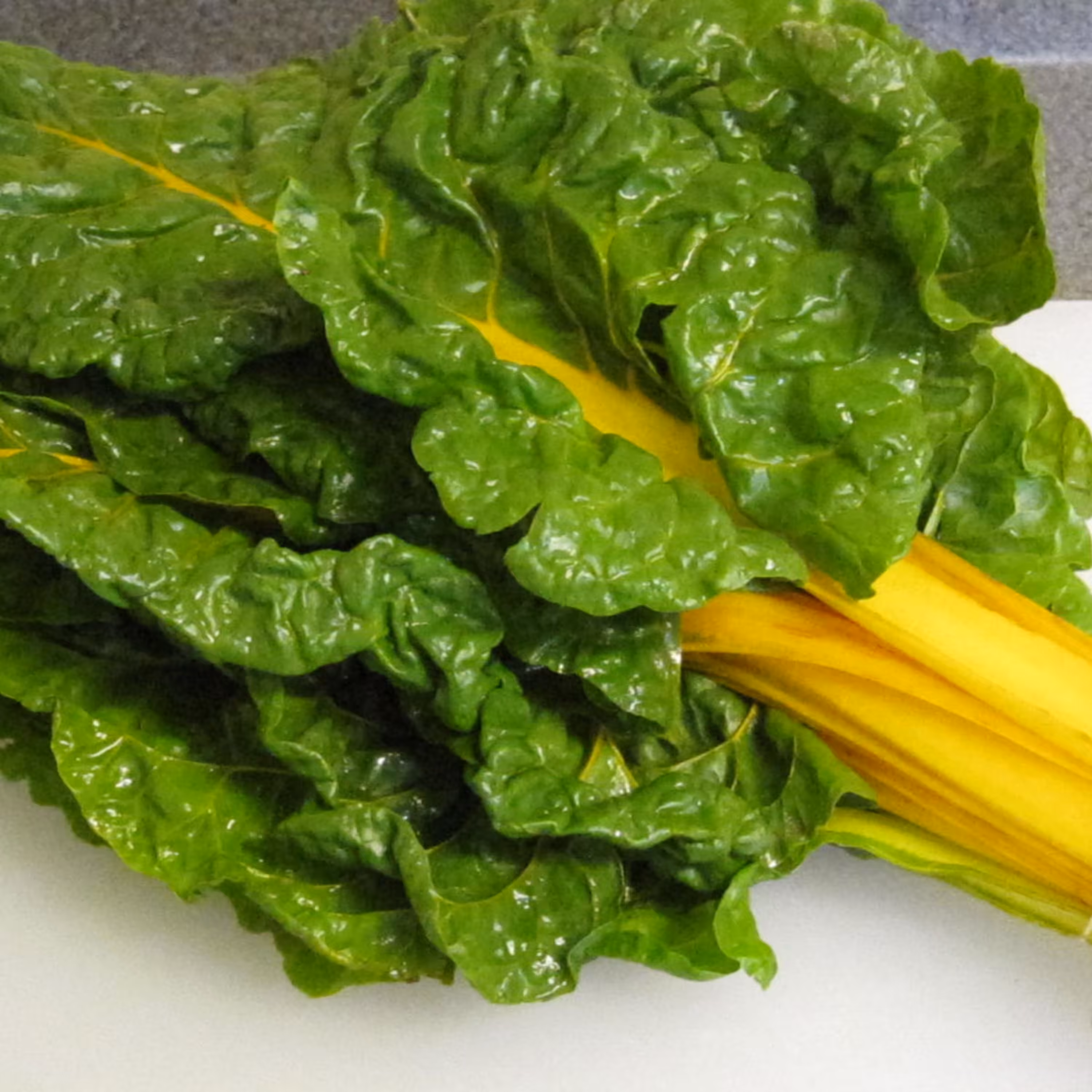 بذر سوییس چارد زرد قناری 30 عددی