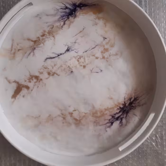 سینی رزین طرح سفید بنفش