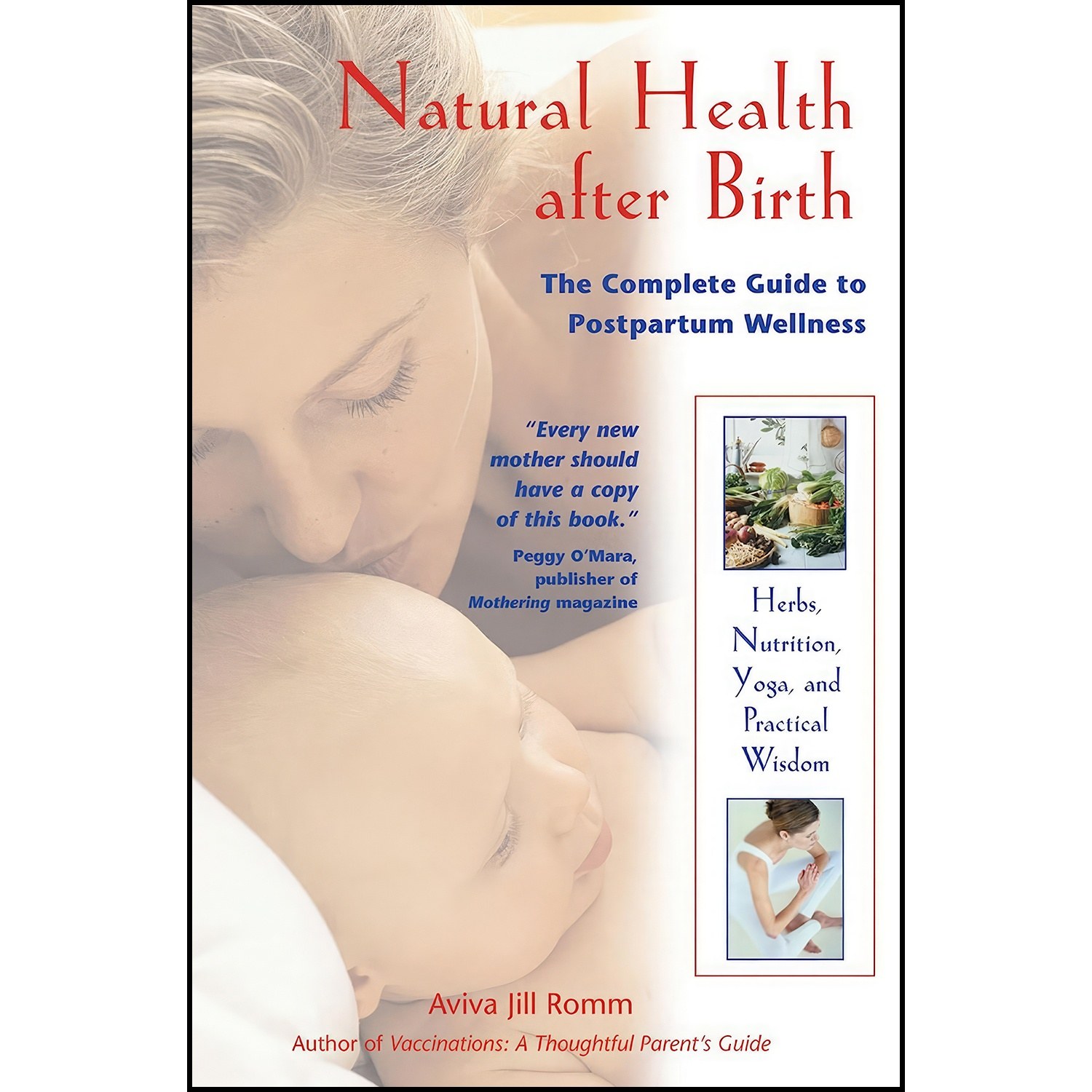 کتاب زبان اصلی Natural Health after Birth اثر Aviva Romm