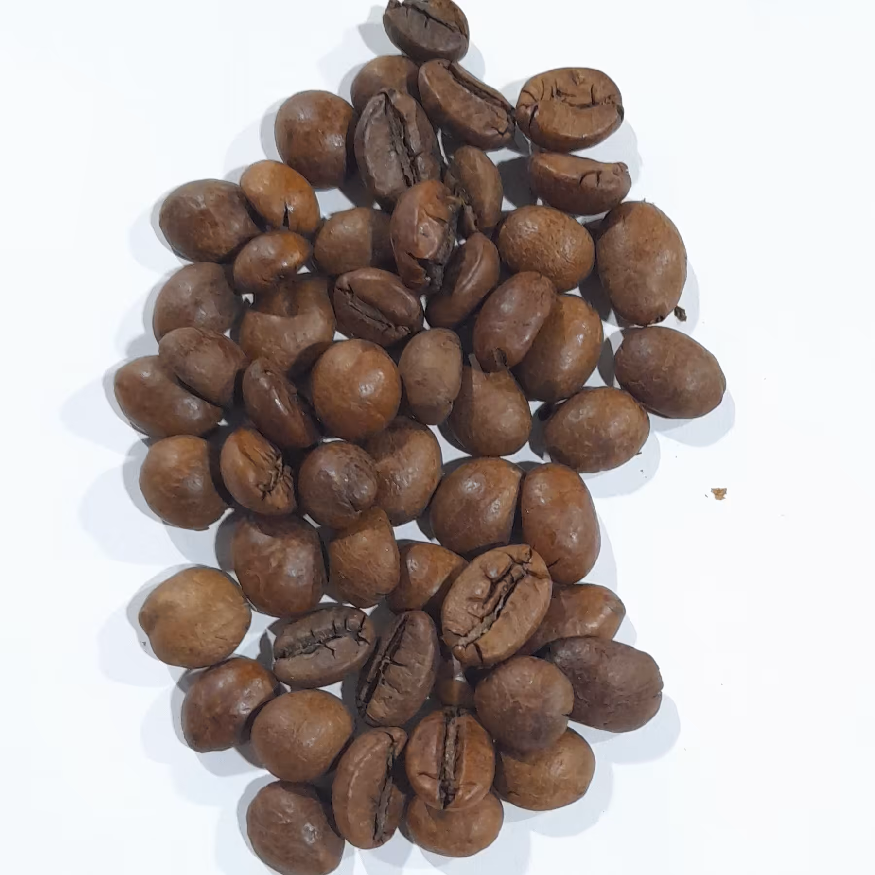 دان قهوه ویتنام ربوستا دابل سرت (ارسال با اسنپ)