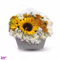 باكس گل طبیعی ستيلا