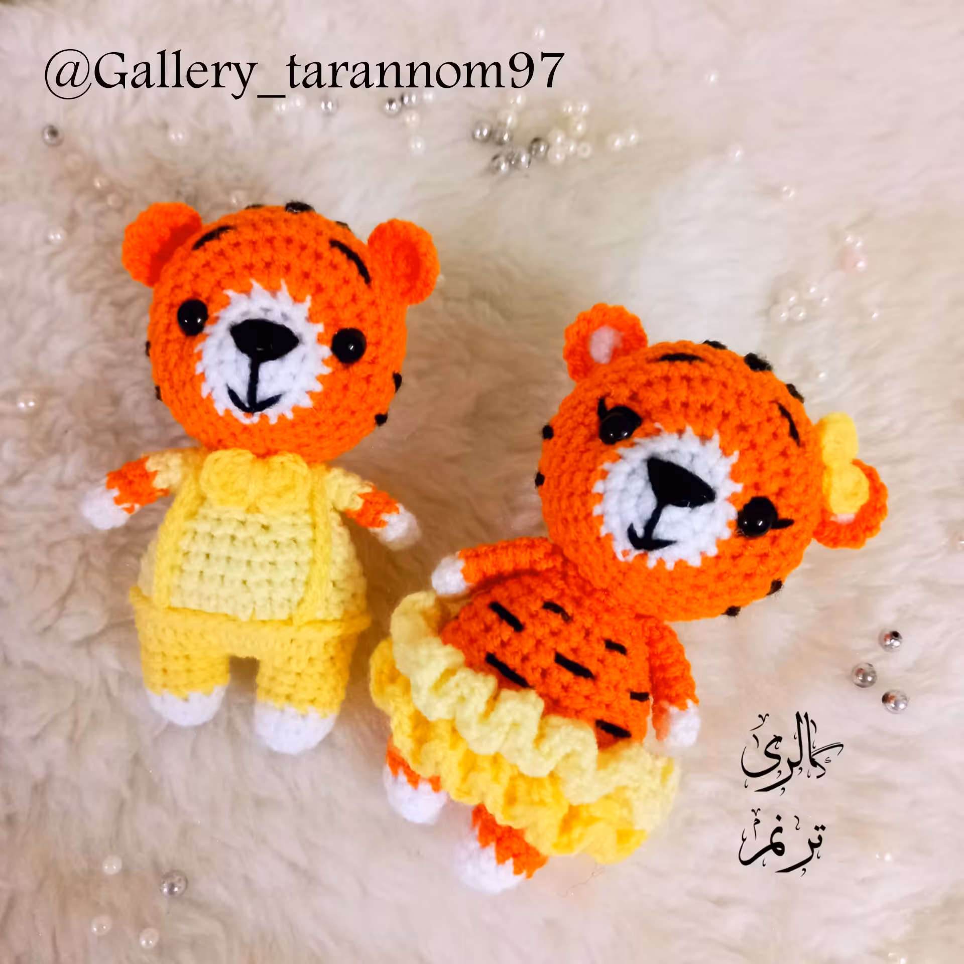 زوج ببری