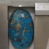 فیروزه شجری