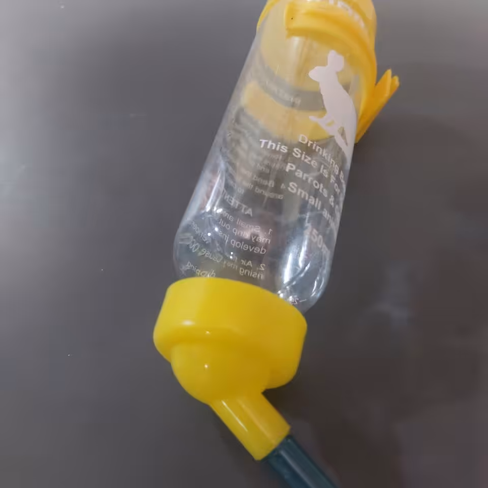 ابخوری جوندگان