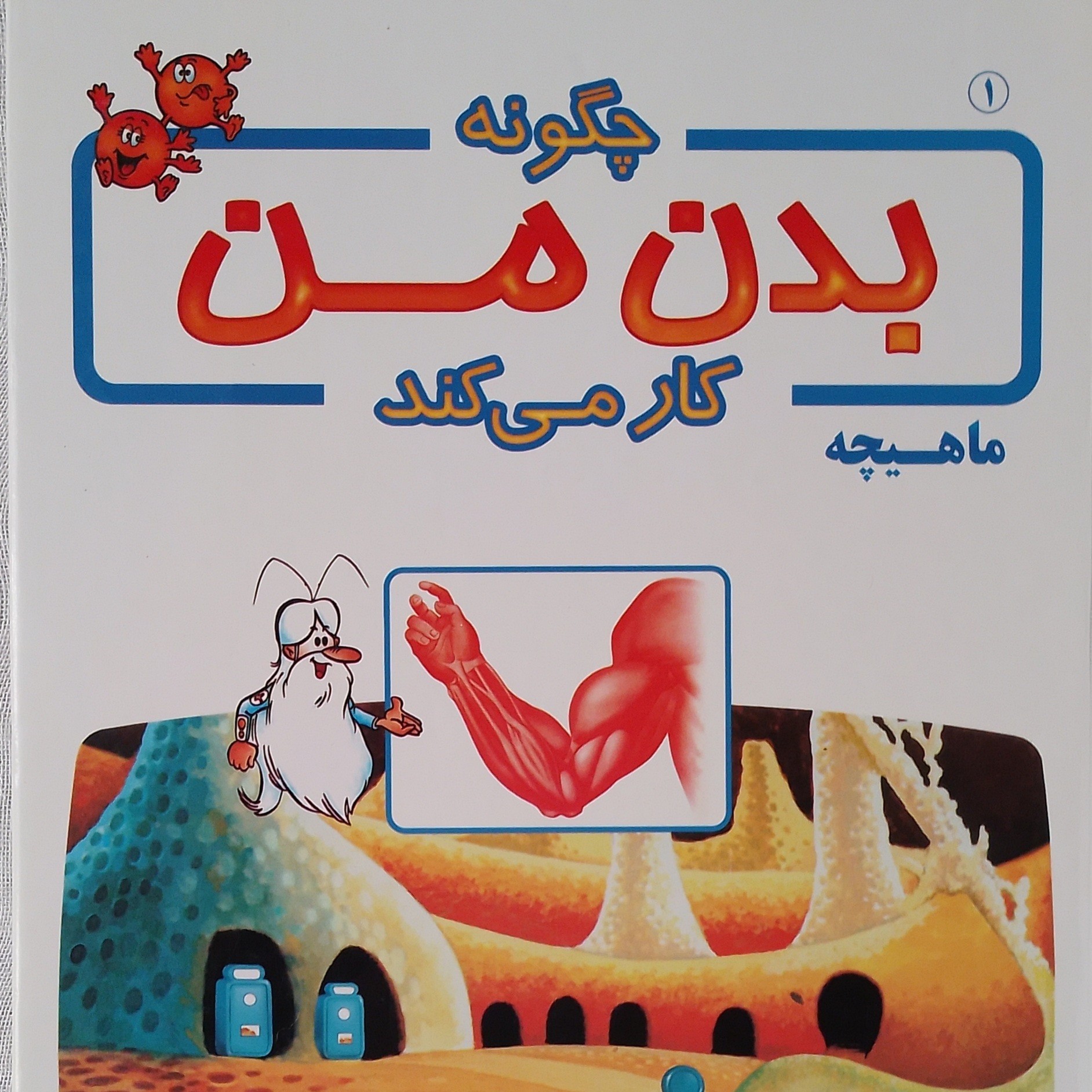 کتاب آموزشی بدن ما چگونه کار می کند 1 ماهیچه نویسنده آلبرت بریل ترجمه طیبه سادات صالحی مرضیه سادات صالحی