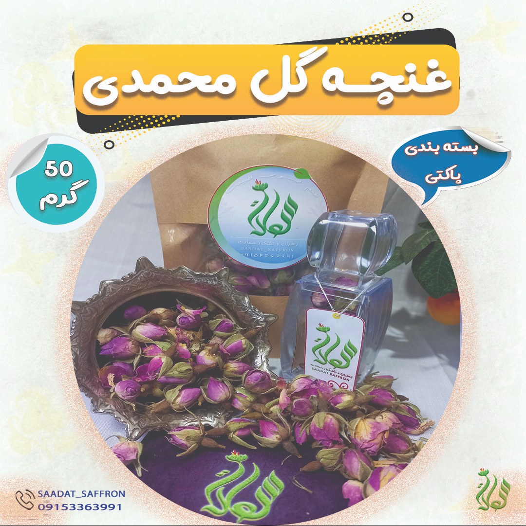 غنچه گل محمدی