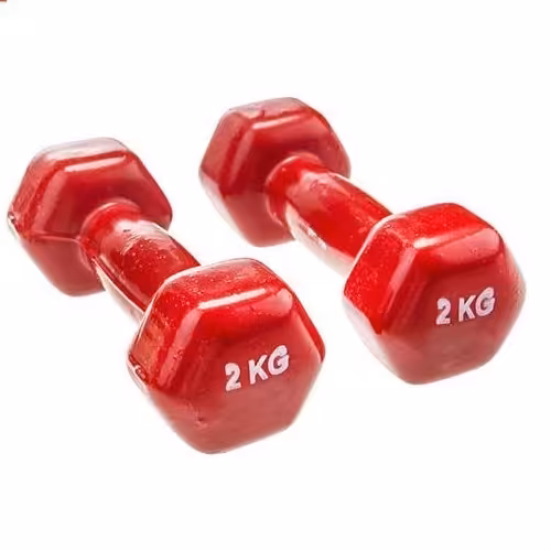 دمبل 2 کیلویی